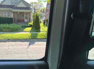 Bush Trimming by Bryan Berg for Derick D. in Milwaukee, WI