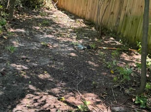 Cleanups by Delson Auguste for Julie C. in Jacksonville, FL