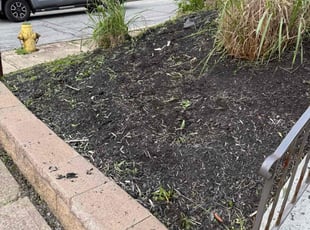 Weeding by Desmond Jackson for Charles K. in Pittsburgh, PA