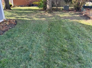 Leaf Removal by Luis Contreras for Austin O. in Indianapolis, IN