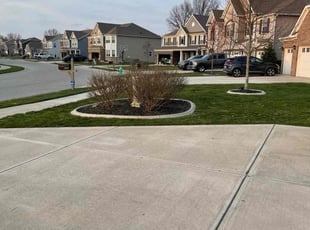 Darryl A.'s Lawn Mowing Service service result