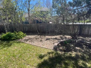 Leaf Removal by David Williams for George C. in Parker, CO