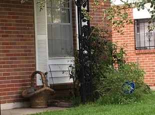Bush Trimming by Kristopher Anderson for Paulene R. in Baton Rouge, LA