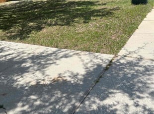 Leaf Removal by Patrick Paul for Terry G. in Clermont, FL