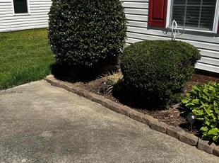 Bush Trimming by Courtney Caldwell for Tran T. in Kannapolis, NC