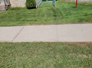 Cathy T.'s Lawn Mowing service result