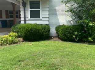 Weeding by Andy Roach for Elijah A. in Tulsa, OK
