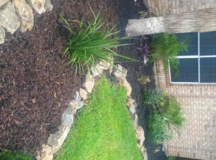 Raymond B.'s Mulching service result