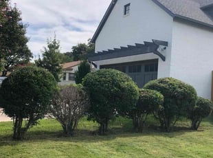 Bush Trimming by Adriana Ramirez for Peyton K. in Dallas, TX