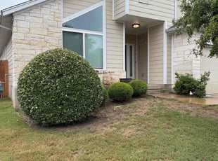 Bush Trimming by Geovanni Vargas for Daniel E. in Austin, TX