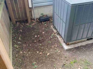 Leaf Removal by Joseph Riddick for Elvin C. in Hampton, VA
