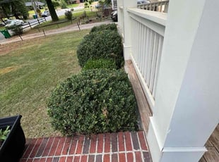 Bush Trimming by Derek Garcia for Saurabh P. in Decatur, GA