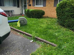 Bush Trimming by Nicholas Weber for Pat R. in Forest Park, OH