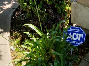 Leaf Removal by Luke Ebinger for Lidia W. in Roseville, CA