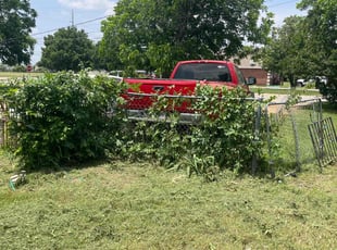 Bush Trimming by Jonathan Salmeron for Star M. in Forest Hill, TX