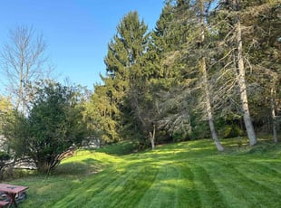 Elba S.'s Lawn Care service result