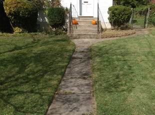 Landscaping by Tyrone Wilkins for Anthony F. in Takoma Park, MD
