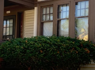 Bush Trimming by Michael Williams for Carl J. in Milwaukee, WI