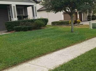 James D.'s Lawn Mowing service result