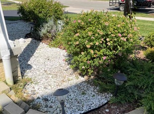 Weeding by Donald Prentiss for Naomi N. in Columbus, OH