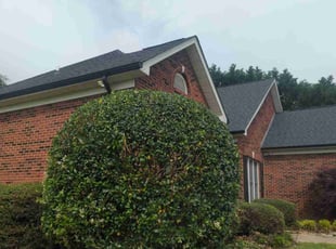 Bush Trimming by Ismael Galvez for Tracy H. in Monroe, NC