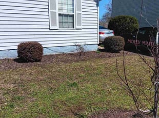 Weeding by Kelvin Gooding for Dan S. in Virginia Beach, VA