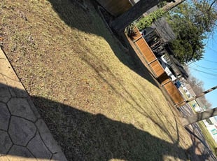 Leaf Removal by Alfredo Cisneros for Christine C. in McKinney, TX