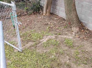Leaf Removal by Ron Davis for Christi G. in Wichita, KS