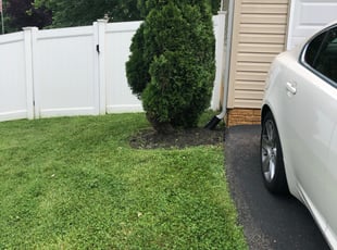 Bush Trimming by Donald Killian for Romaine K. in Glen Burnie, MD
