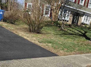 Cleanups by Rosemary Valle for Deborah R. in Fairfax, VA