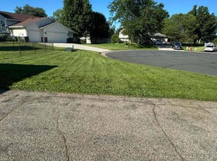 Vasila M.'s Lawn Care service result
