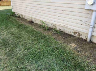 Cleanups by Ramiro Vicente for Diana R. in Saint Charles, MO