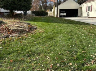 Jerry H.'s Lawn Service service result