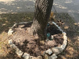 Weeding by Noah Fiechtner for Rehana A. in Round Rock, TX