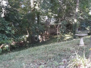 Cleanups by Danny Little for william h. in Woodstock, GA