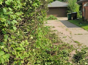 Cleanups by Roosevelt Williams for Kristoffer H. in Lions Park, MN