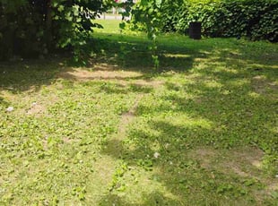 Joseph G.'s Cleanups service result