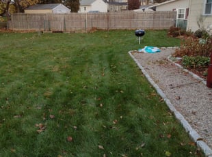 Leaf Removal by Matthew Spinelli for Adiaha C. in Bridgeport, CT