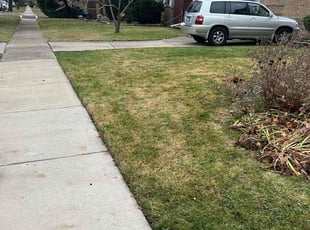 Leaf Removal by Brandon Betts for Niki L. in Elmwood Park, IL
