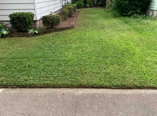 Bush Trimming by Clinton Peet for Tabitha G. in Norfolk, VA