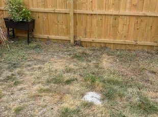 Cleanups by Leroy Green II for Ronald W. in Columbus, OH