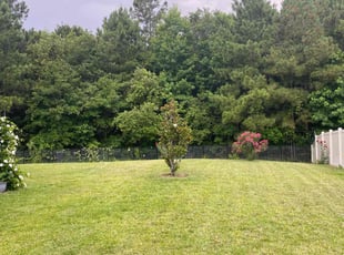 Kevin G.'s Lawn Service service result
