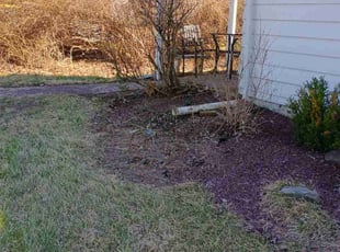 Leaf Removal by Martin Ortiz Cortez for Gail M. in Wilmington, DE