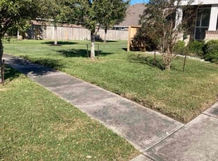 Shontala M.'s Lawn Mowing Service service result
