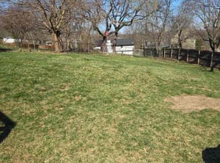 Cleanups by Marcus Alexander for Raeleigh E. in Kansas City, MO