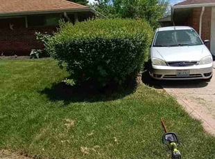 Bush Trimming by Phillip Whitt for Terence S. in Reynoldsburg, OH