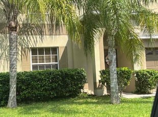 Bush Trimming by Efrain Marrero for Amanda E. in Wesley Chapel, FL