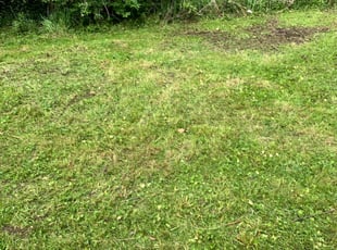 Cleanups by Crystal Hawks for Vernon C. in Kansas City, MO
