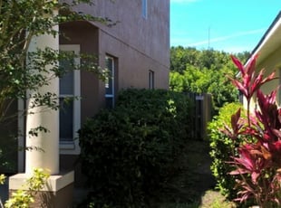 Bush Trimming by Louis Reele for KrizAnn W. in Tampa, FL