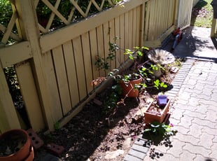 Leaf Removal by David Cabrera for LeAnne N. in Midwest City, OK